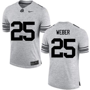 NCAA Ohio State Buckeyes Men's #25 Mike Weber Gray Nike Football College Jersey RHY5545JT